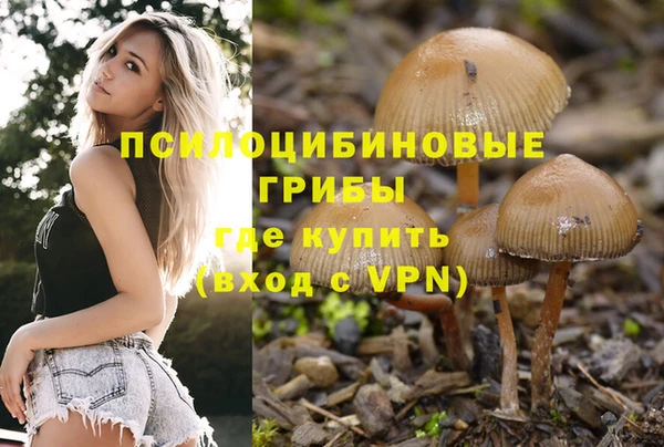 марки nbome Гусиноозёрск