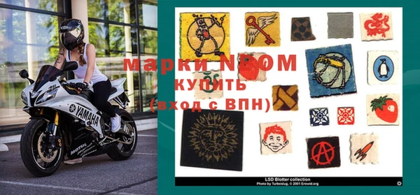 гашик Кострома