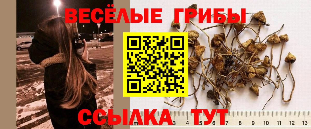 Галлюциногенные грибы MAGIC MUSHROOMS Дальнереченск